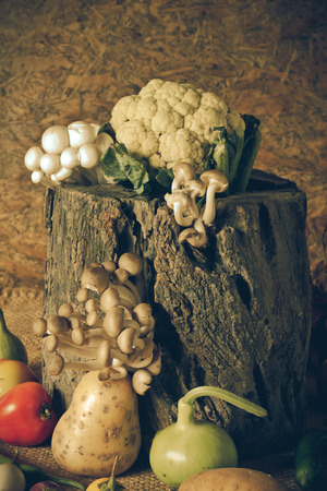 still life  Vegetables, Herbs and Fruits as ingredients in cooking.の写真素材