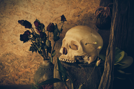 Still life with a human skull with desert plants, cactus, roses and dried flowers in a vase beside the timber.の写真素材