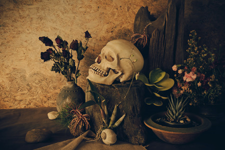 Still life with a human skull with desert plants, cactus, roses and dried flowers in a vase beside the timber.の写真素材