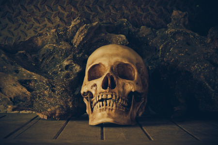 Still Life with a Skull concept on the art.の写真素材