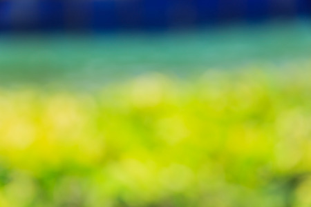 Abstract bokeh and blurred green nature background model is used to enter text.の写真素材