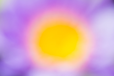 Purple and Yellow abstract natural background Used for text inputの写真素材