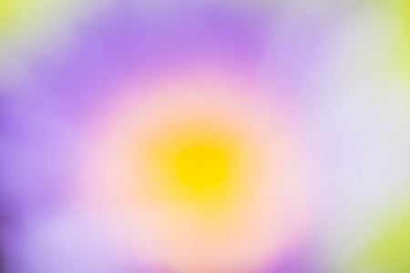 Purple and Yellow abstract natural background Used for text input