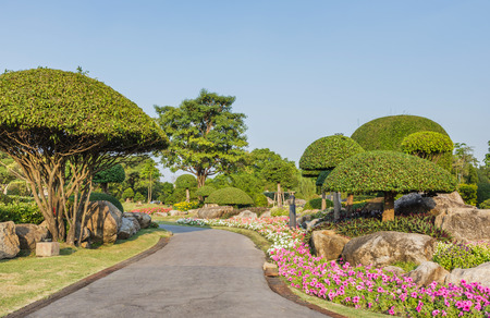 flower and rock the garden in the gardenの写真素材