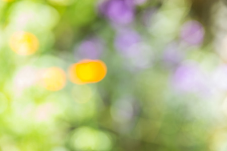 Abstract bokeh and blurred green nature background model is used to enter text.の写真素材