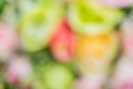 Abstract bokeh and blurred white and pink nature background model is used to enter text.の写真素材