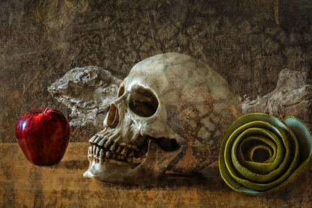 still life with skull and green apple on wooden tableの写真素材