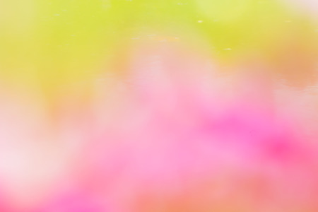 Abstract bokeh and blurred colorful nature background model is used to enter text.の写真素材