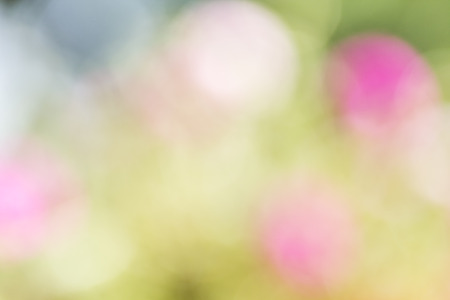 Natural green blurred background Used for text inputの写真素材