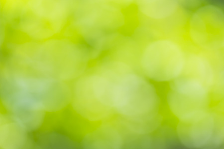 Natural green blurred background Used for text inputの写真素材