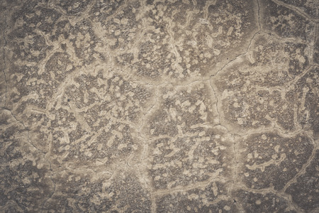 Roy cracked plaster wall background for text input.の写真素材