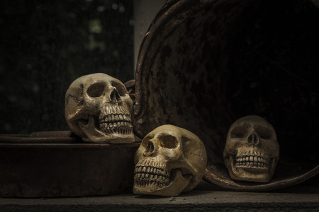 Photography  with the skull of a human skull on a table and an old rust bucket is forgotten.