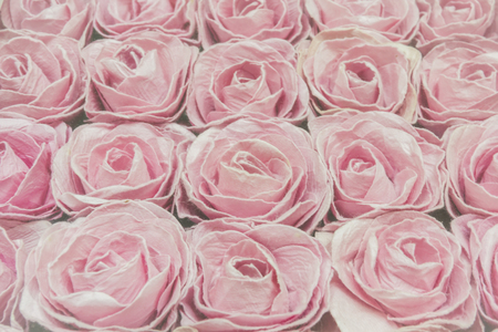 Pink roses background, shallow depth of field. Retro vintage  filter for background and text.