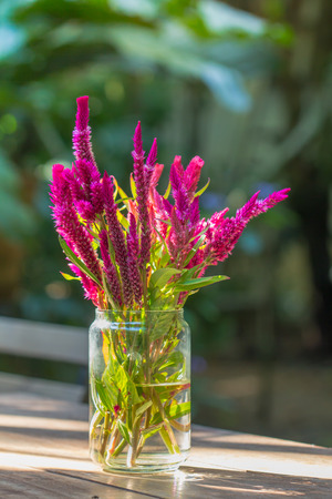 vase of various types of flowers in Vintage Style outdoor Living - as part of the home decorationの写真素材