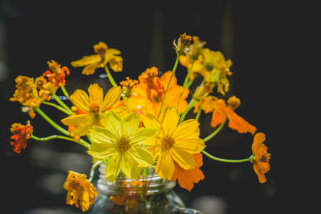 yellow cosmos flower in glass vase as part of the decorationの写真素材