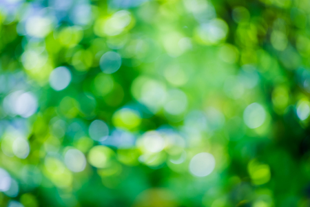Natural green blurred background for as illustrated and messageの写真素材