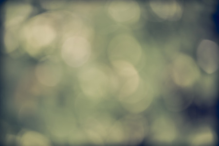 Natural green blurred background for as illustrated and messageの写真素材