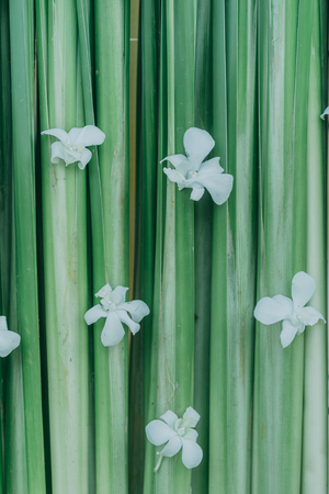 The background image of flowers at weddings is a symbol of love and joy.の写真素材