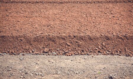 Peat soil is used as a background for agricultural work.