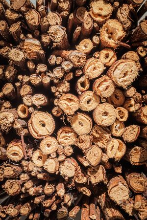 Wooden natural, top view as use for background.の写真素材