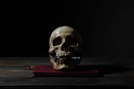 Still life of human skull that died for a long times ,concept of Drug concept and horror or thriller...