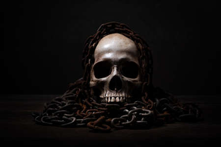 Still life of human skull that died for a long times ,concept of horror or thriller movies of scary...