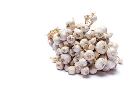 Garlic is an herb and spice. On a white backgroundの写真素材