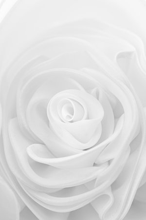 lace wedding dress white rose pattern The details of the bridal fabric and beautiful embroidery are used for a background and illustrationsの写真素材