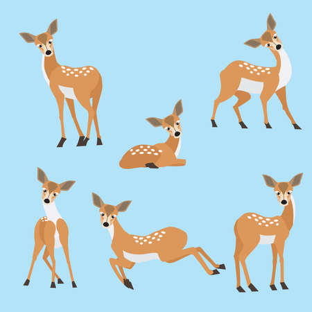 Set of cute cartoon brown deer in modern flat style Animal character designのイラスト素材