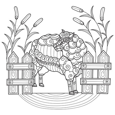 Cute sheep hand drawn for adult coloring bookのイラスト素材