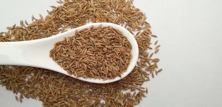 caraway spice seeds or meridian fennel on the spoon, top view, copy space