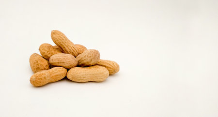organic peanuts in shell (Arachis hypogaeaon) on white background with copy spaceの写真素材