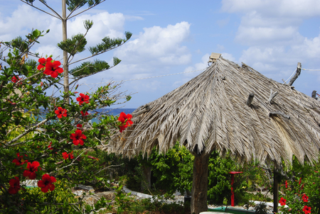 Straw hat with red flowers near the coast of Sissi on Crete in Greeceの写真素材
