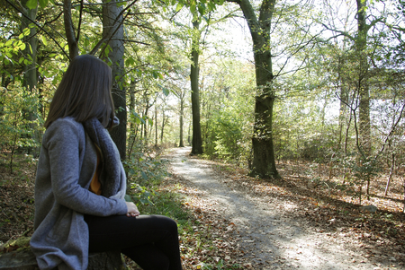 A beautiful woman sitting on a trunk in the forest of Duisburg, Germanyの写真素材