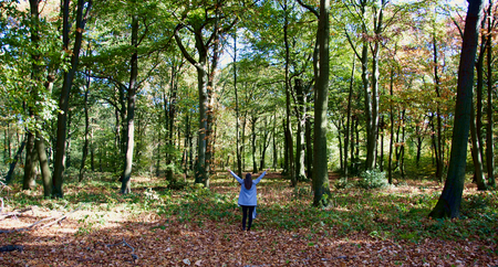 A beautiful woman takes a walk through the leaves in the forest of Duisburg in Germanyの写真素材