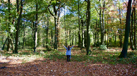 A beautiful woman takes a walk through the leaves in the forest of Duisburg in Germanyの写真素材