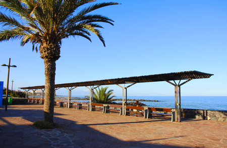 palms at the beach of tenerife on the canary islandsの写真素材