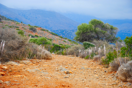 Rocky path on a mountain near Sissi on Crete in Greeceの写真素材