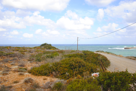 Rocky and sandy coast of Sisi on Crete in Greece with plants growing next to itの写真素材