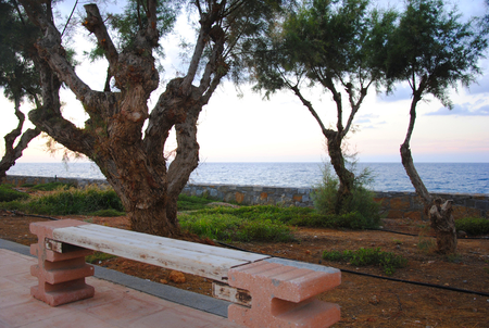 Rocky and sandy coast of Sisi on Crete in Greece with trees growing next to itの写真素材