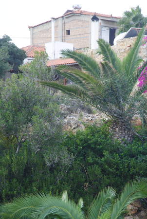 Big houses on a hill full of palm trees next to the small village of Sisi on Crete in Greeceの写真素材