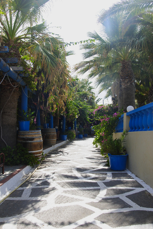 narrow alley through the palm bay of Sissi on the mediterranean isle Crete in Greeceの写真素材