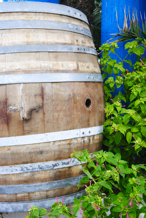 old wodden barrel in the alley of the grassy palm bay at Sissi on the mediterranean island Crete in Greeceの写真素材