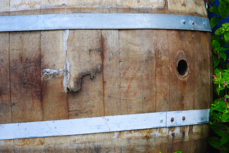 old wodden barrel in the alley of the grassy palm bay at Sissi on the mediterranean island Crete in Greeceの写真素材