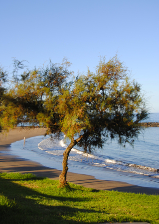 the rocky and sandy coast of Tenerife. Tenerife is one of the canary islands. the canary islands belong to spain.の写真素材