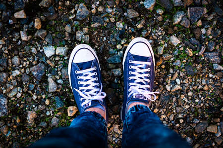 Photo taken of Van shoes from above.の写真素材