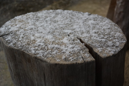 stump and snowの写真素材