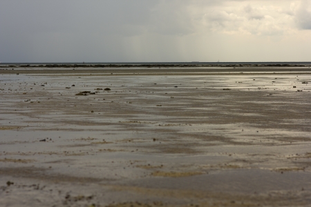 low tideの写真素材