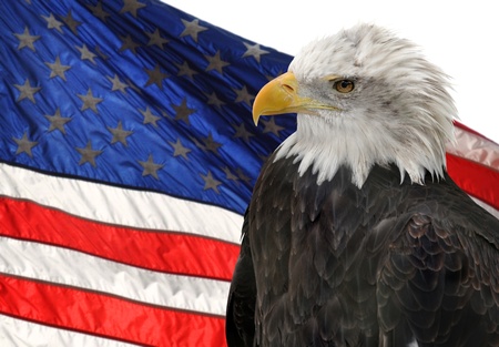 American flag and Bald Eagle, symbols of freedom and democracyの写真素材