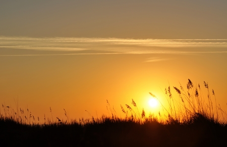 Sand dunes and sea oats silhouette in a morning sunriseの写真素材
